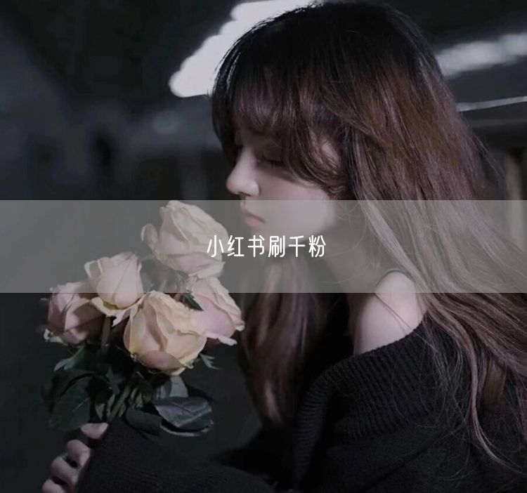 小红书刷千粉