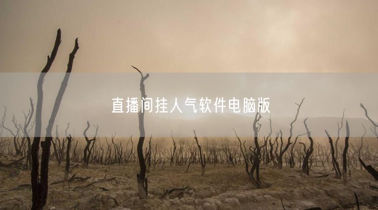 直播间挂人气软件电脑版