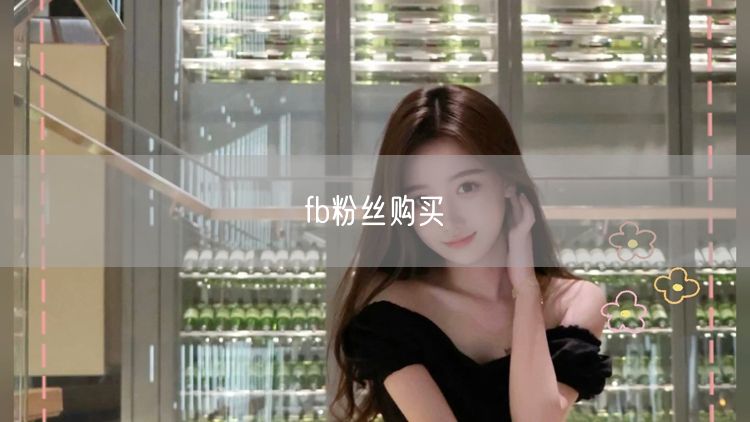 fb粉丝购买