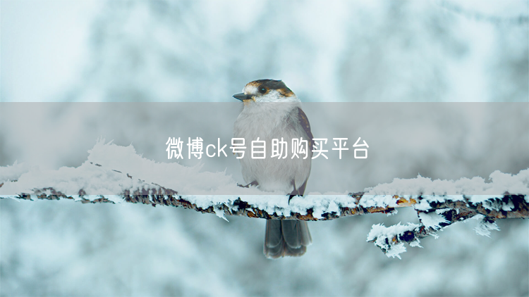 微博ck号自助购买平台