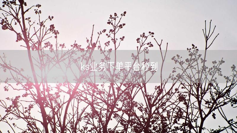 ks业务下单平台秒到