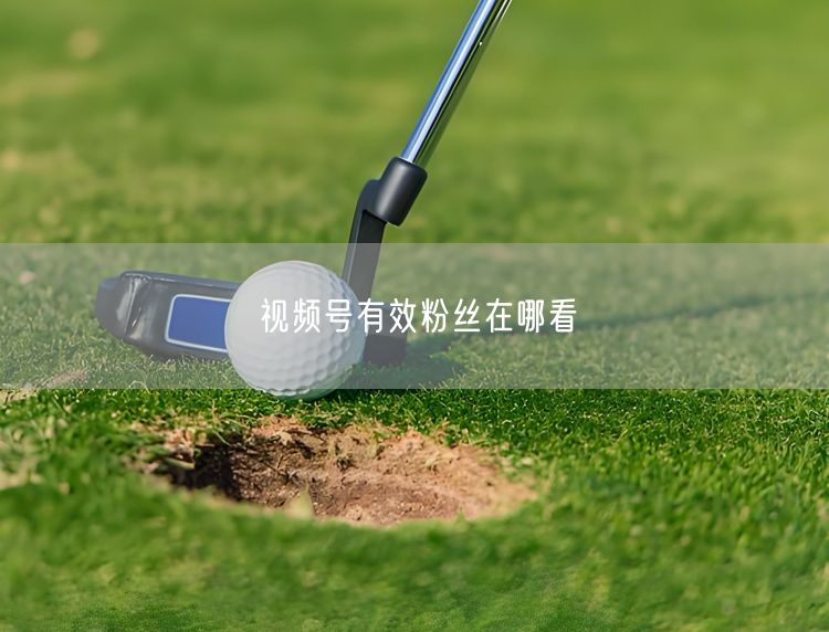 视频号有效粉丝在哪看