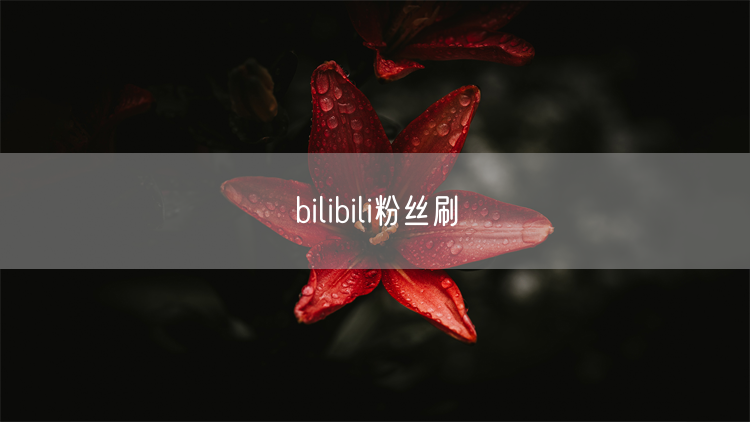 bilibili粉丝刷