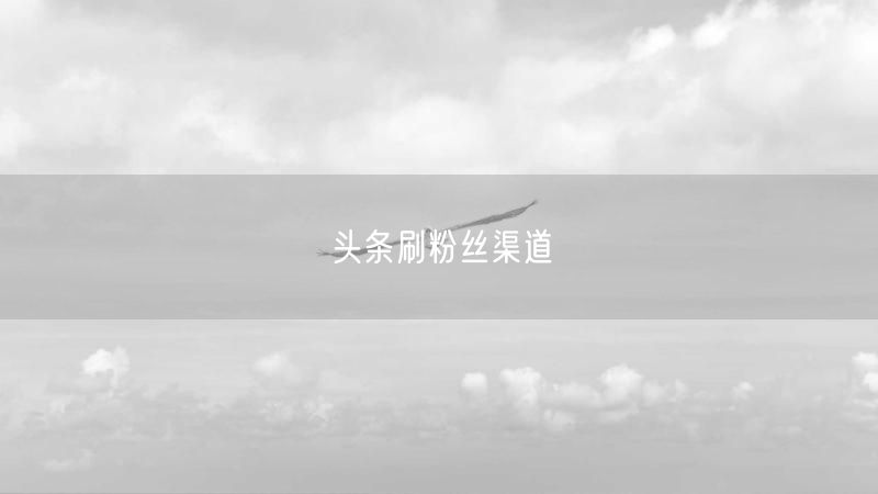 头条刷粉丝渠道
