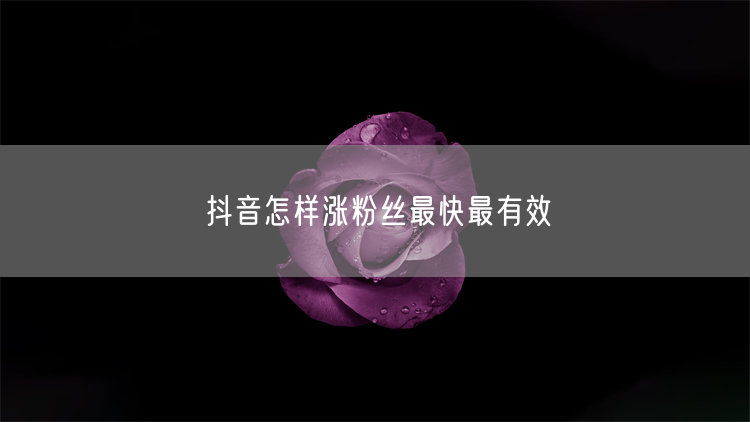 抖音怎样涨粉丝最快最有效