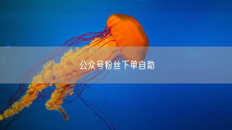 公众号粉丝下单自助
