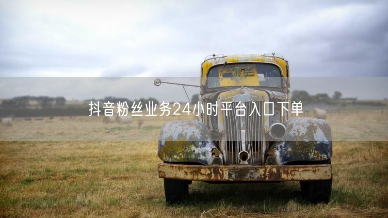 抖音粉丝业务24小时平台入口下单