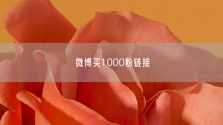 微博买1000粉链接