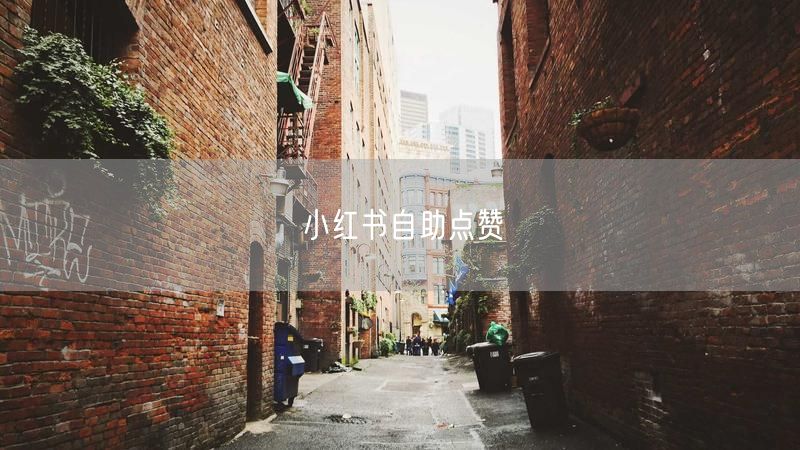 小红书自助点赞