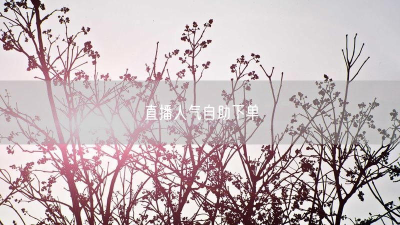 直播人气自助下单
