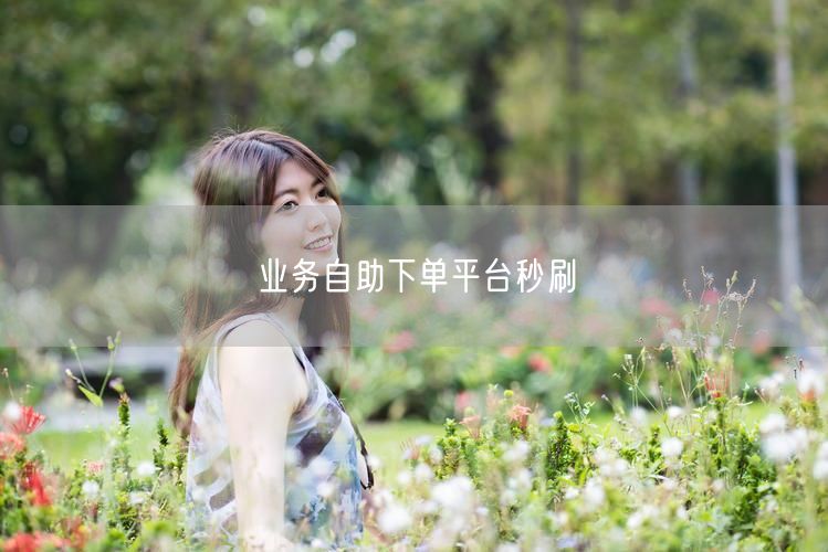 业务自助下单平台秒刷