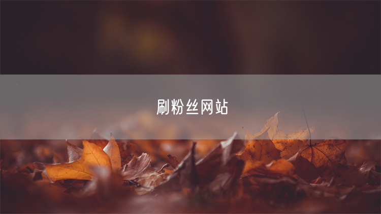 刷粉丝网站