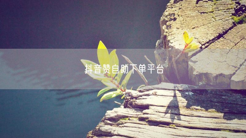 抖音赞自助下单平台