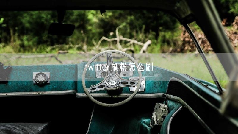 twitter刷粉怎么刷
