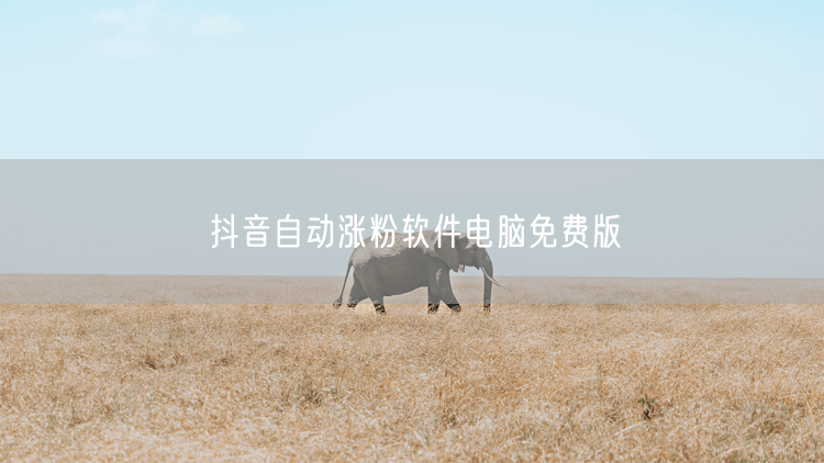 抖音自动涨粉软件电脑免费版