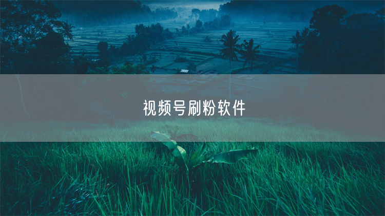 视频号刷粉软件