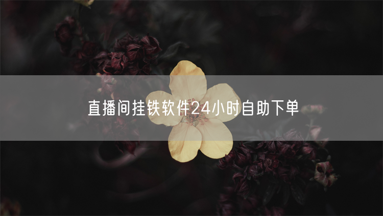 直播间挂铁软件24小时自助下单