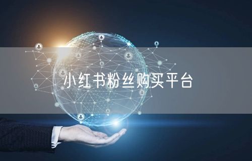 小红书粉丝购买平台