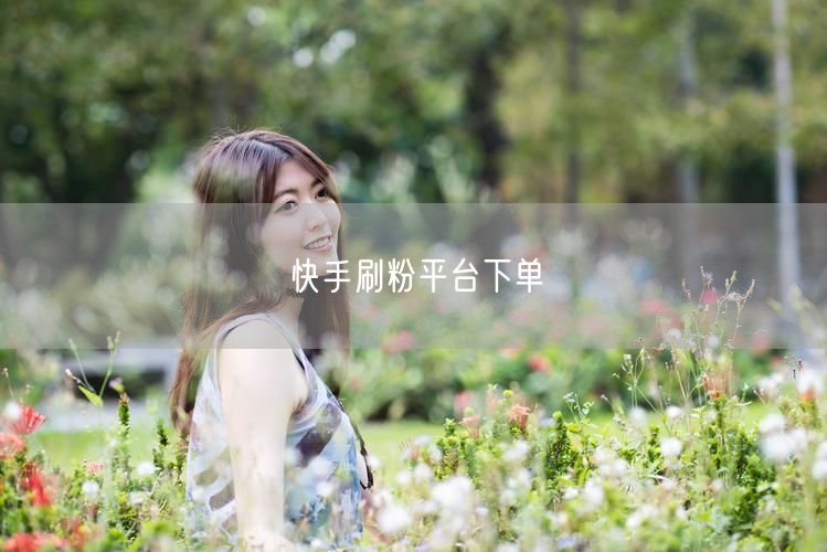 快手刷粉平台下单