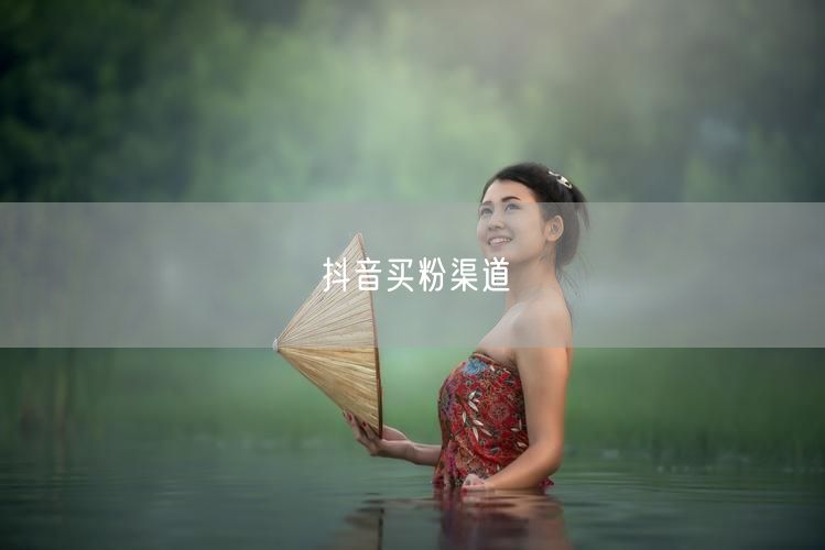 抖音买粉渠道