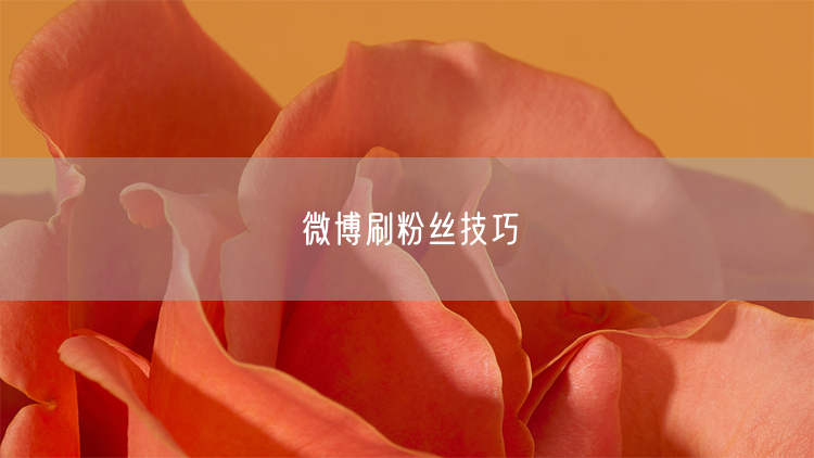微博刷粉丝技巧