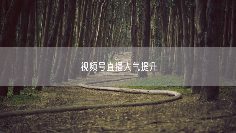 视频号直播人气提升