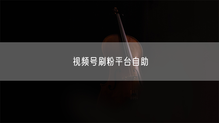 视频号刷粉平台自助
