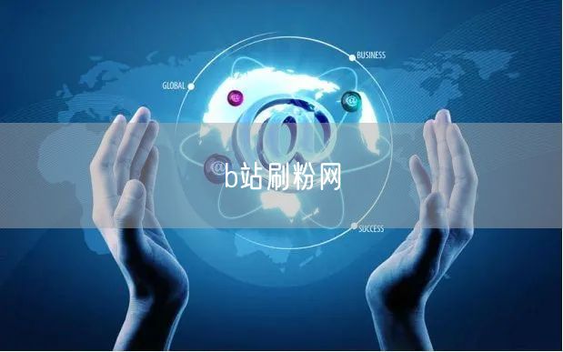 b站刷粉网