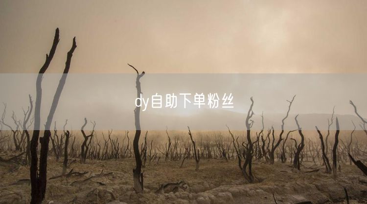 dy自助下单粉丝