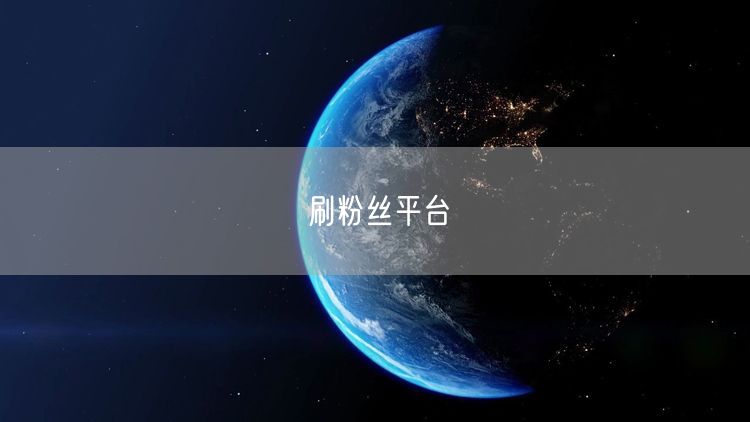 刷粉丝平台