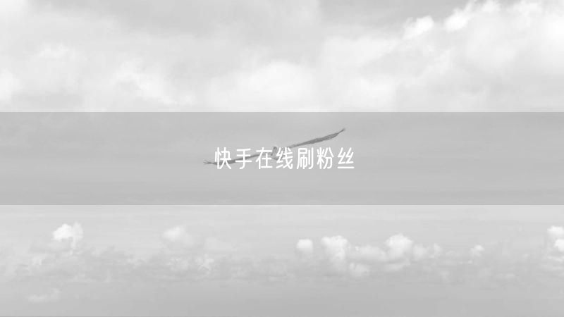 快手在线刷粉丝