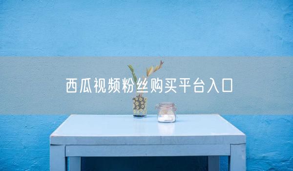 西瓜视频粉丝购买平台入口