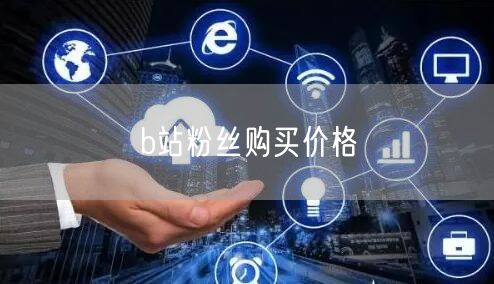 b站粉丝购买价格