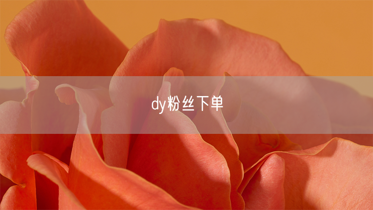 dy粉丝下单