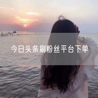 今日头条刷粉丝平台下单