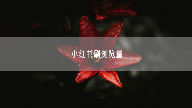 小红书刷浏览量
