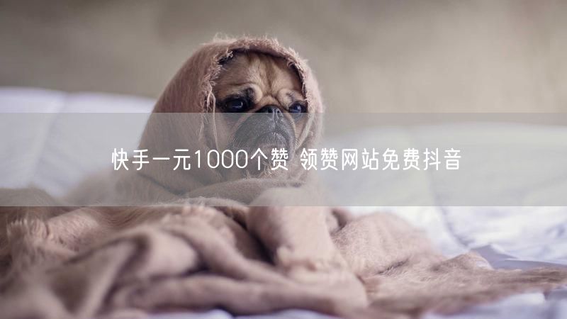 快手一元1000个赞 领赞网站免费抖音