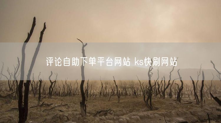 评论自助下单平台网站 ks快刷网站