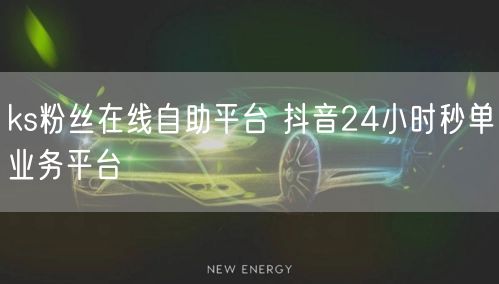 ks粉丝在线自助平台 抖音24小时秒单业务平台