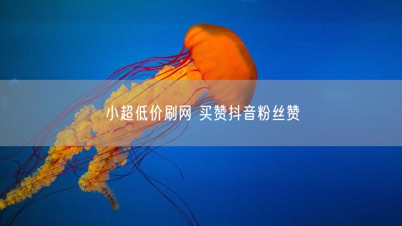 小超低价刷网 买赞抖音粉丝赞