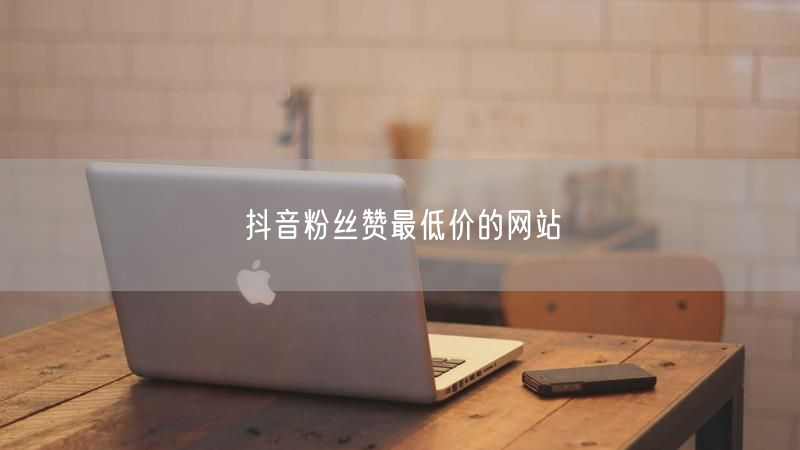 抖音粉丝赞最低价的网站