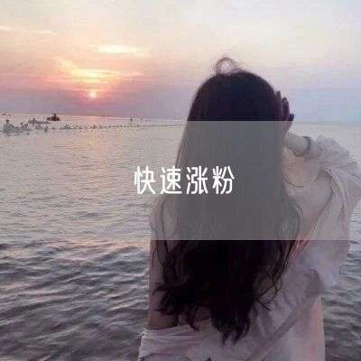 快速涨粉