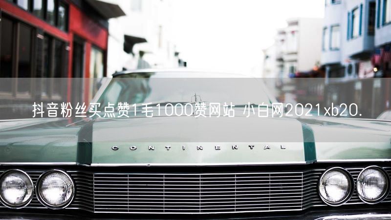 抖音粉丝买点赞1毛1000赞网站 小白网2021xb20.㏄