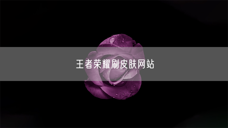 王者荣耀刷皮肤网站