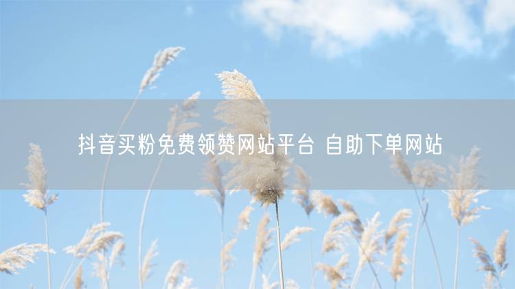 抖音买粉免费领赞网站平台 自助下单网站