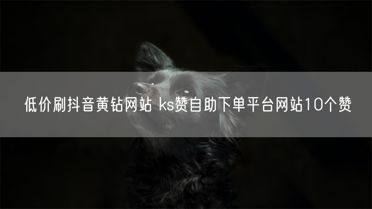 低价刷抖音黄钻网站 ks赞自助下单平台网站10个赞