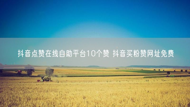 抖音点赞在线自助平台10个赞 抖音买粉赞网址免费