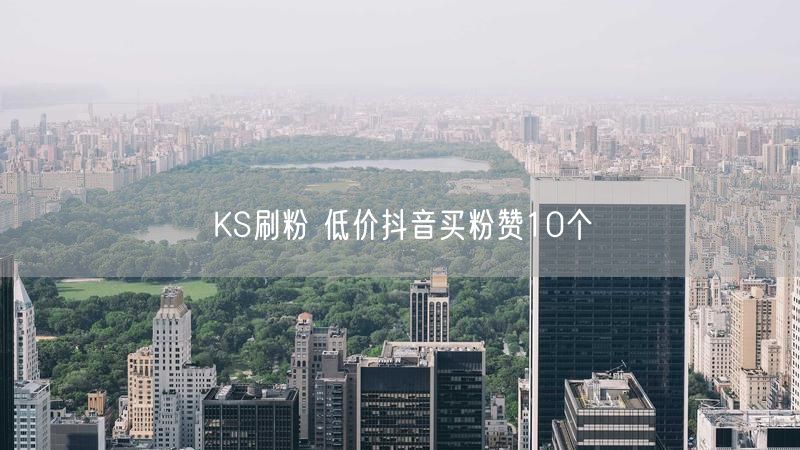 KS刷粉 低价抖音买粉赞10个
