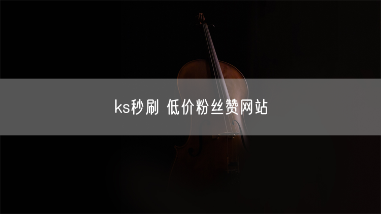 ks秒刷 低价粉丝赞网站