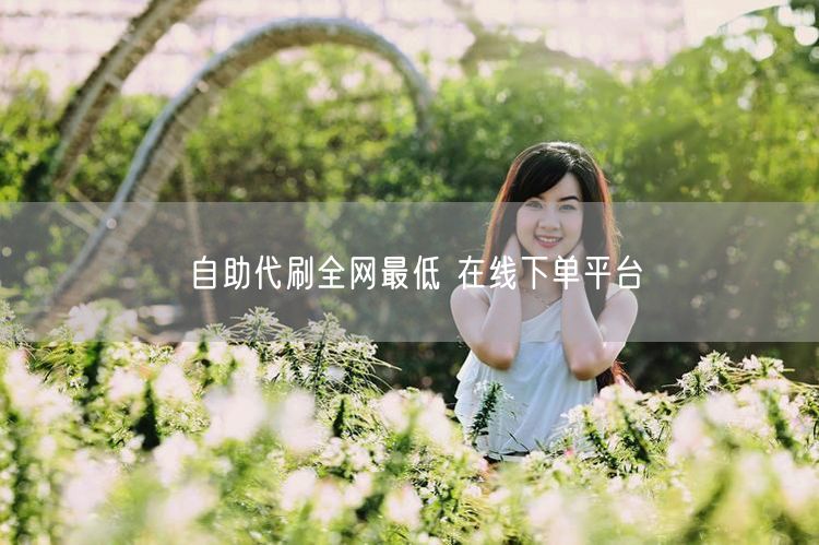 自助代刷全网最低 在线下单平台